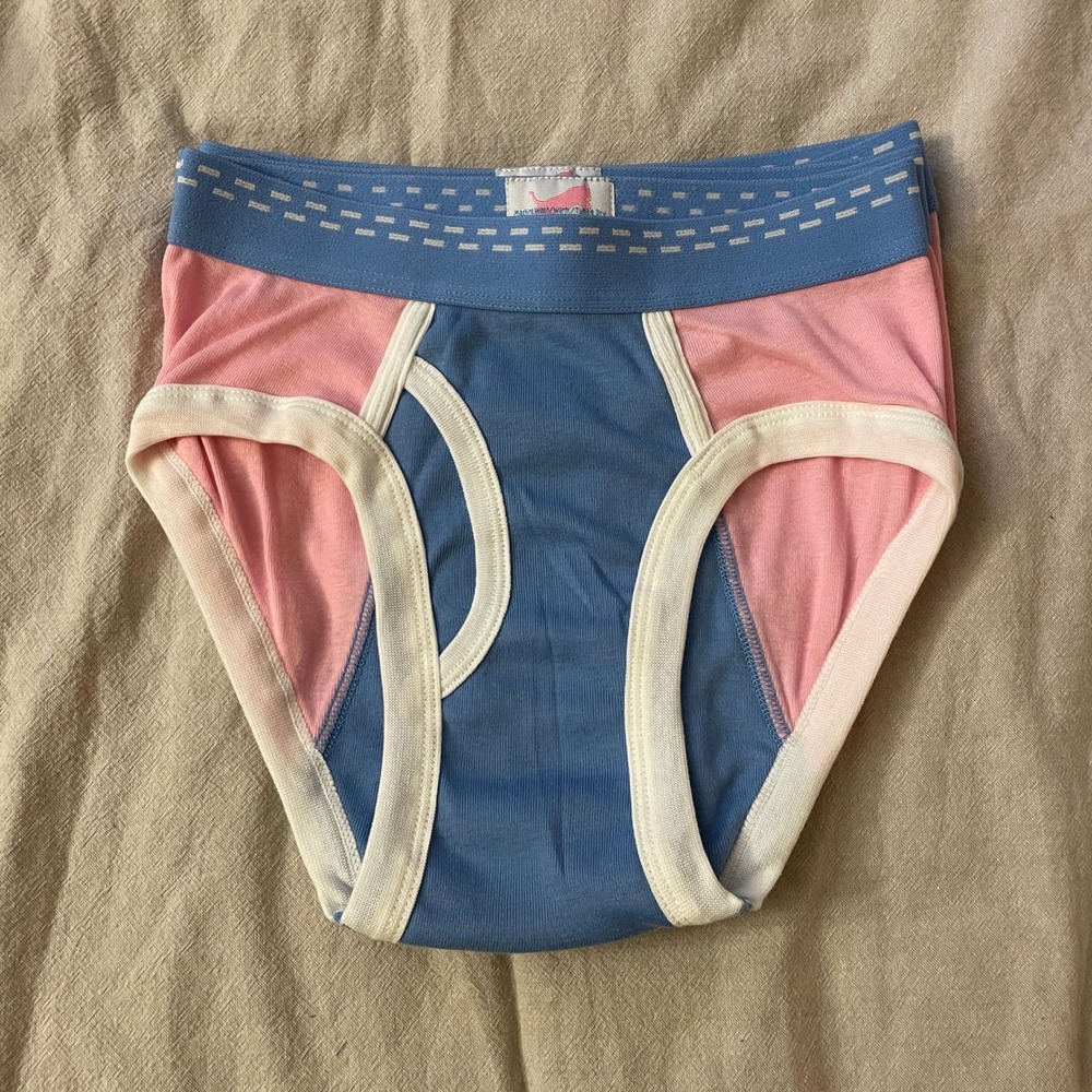 Deadstock 3 Pack Tiger Briefs Boys 14-16 Blue Pink Colorblock Underwear Vintage